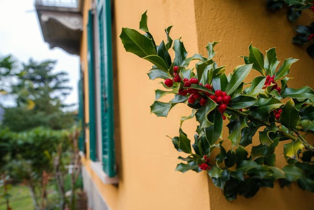 San Martino Apartment - Downtown Como Ngoại thất bức ảnh
